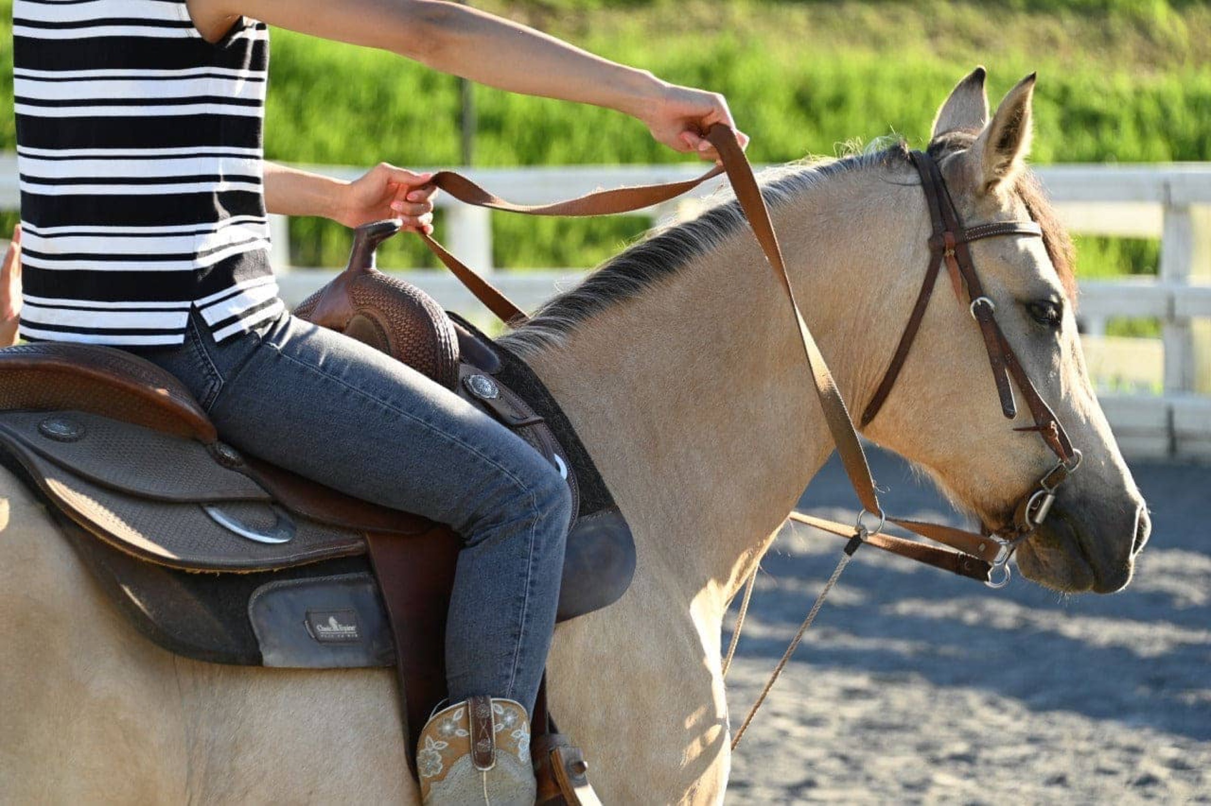 ヴィレッジでのウエスタン乗馬
