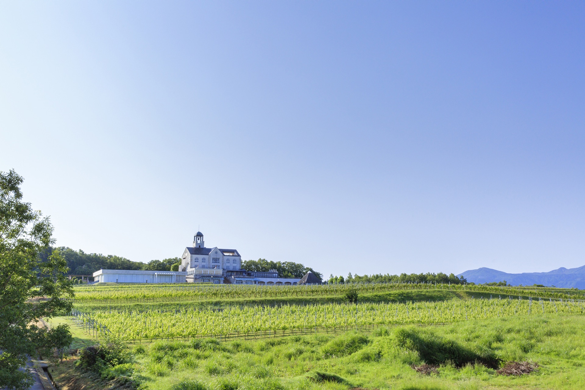 下白岩へ。シャトーの土地を決める